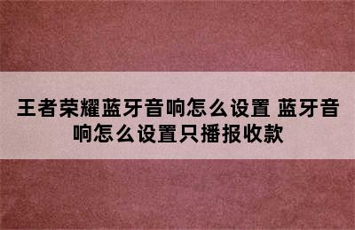 王者荣耀蓝牙音响怎么设置 蓝牙音响怎么设置只播报收款